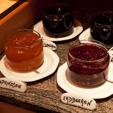 Han/Misafirhane Astras Scuol