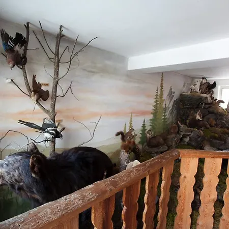 Astras Han/Misafirhane